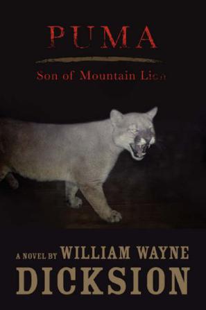 Puma Son of Mountain Lion