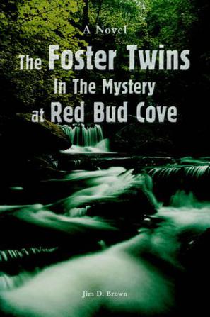 The Foster Twins In The Mystery at Red Bud Cove