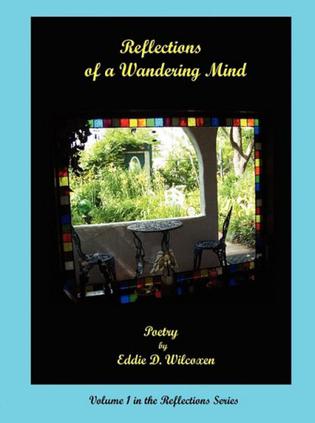Reflections of a Wandering Mind