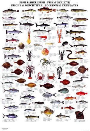 "Fishing News" Books Wallcharts