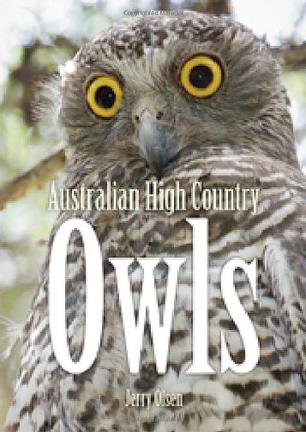 Australian High Country Owls