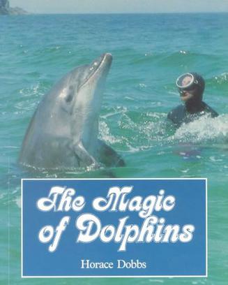 The Magic of Dolphins