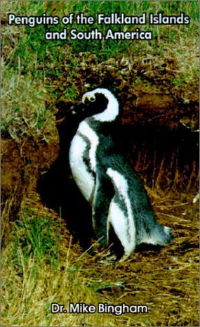 Penguins of the Falkland Islands and South America
