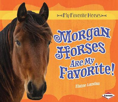 Morgan Horses Are My Favorite!