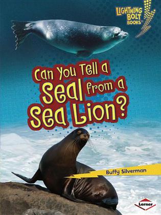 Can You Tell a Seal from a Sea Lion?