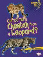 Can You Tell a Cheetah from a Leopard?