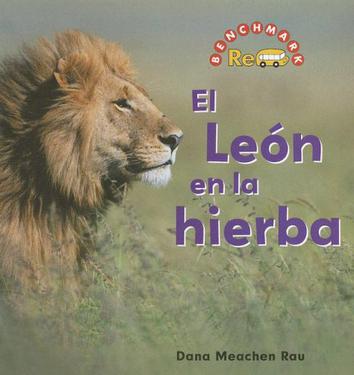 El Leon En La Hierba