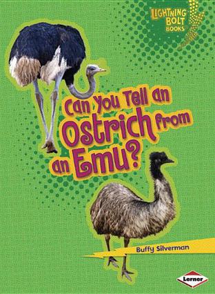 Can You Tell an Ostrich from an Emu?