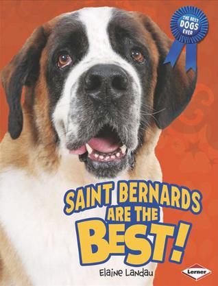 Saint Bernards Are the Best!