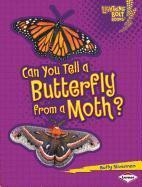 Can You Tell a Butterfly from a Moth?