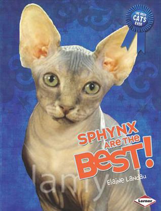 Sphynx Are the Best!