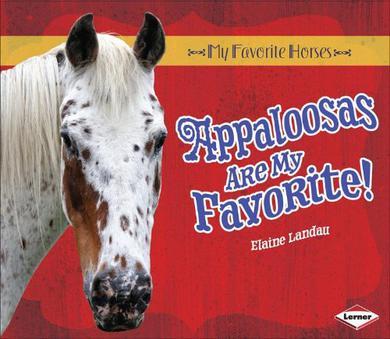 Appaloosas Are My Favorites!