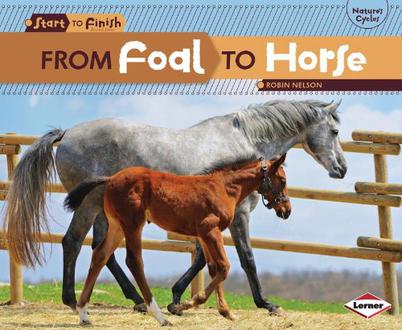 From Foal to Horse