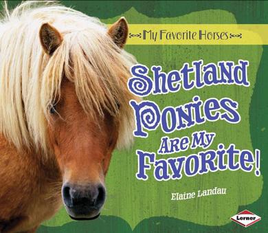 Shetland Ponies Are My Favorite!