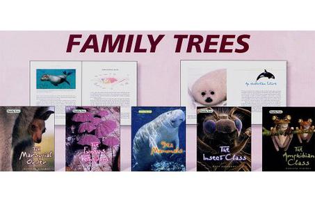 Family Trees Group 3