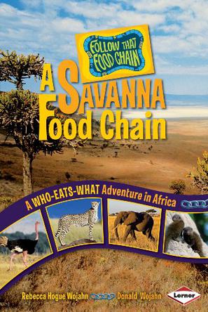 A Savannah Food Chain