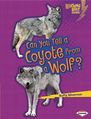 Can You Tell a Coyote from a Wolf?