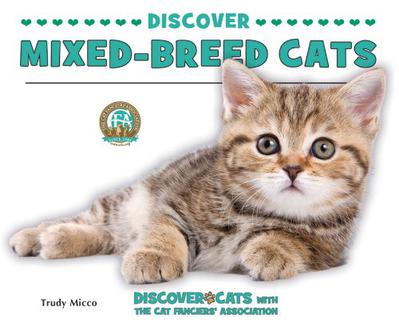 Discover Mixed-Breed Cats