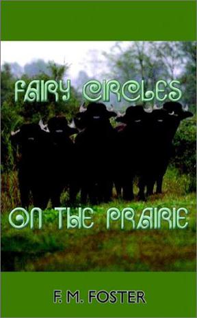 Fairy Circles on the Prairie
