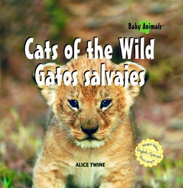 Cats Of The Wild/Gatos Salvajes
