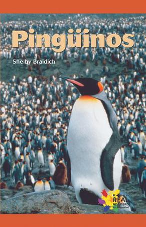 Spa-Spa-Pinguinos