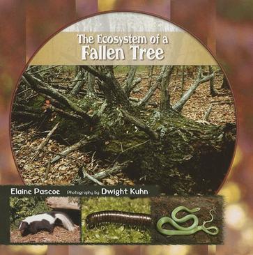 The Ecosystem of a Fallen Tree