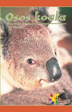 Spa-Spa-Osos Koala (Koala Bear