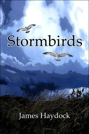 Stormbirds