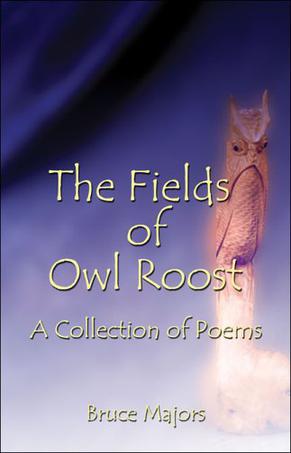 The Fields of Owl Roost
