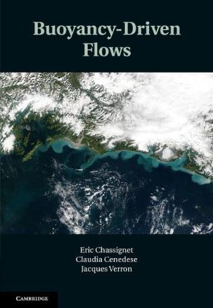 Buoyancy Driven Flows