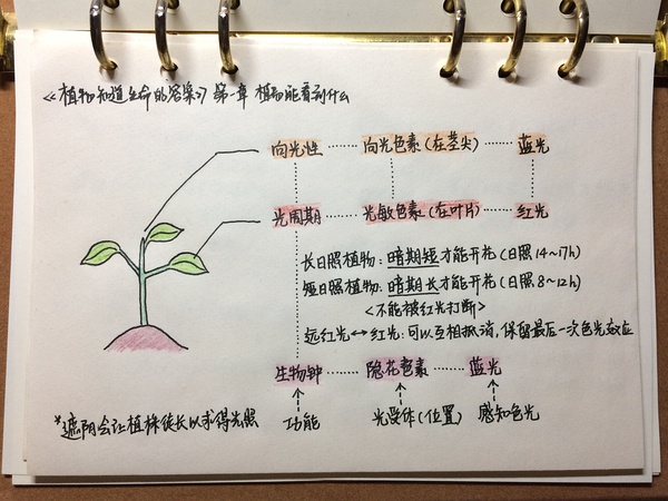 《植物知道生命的答案》读书笔记1