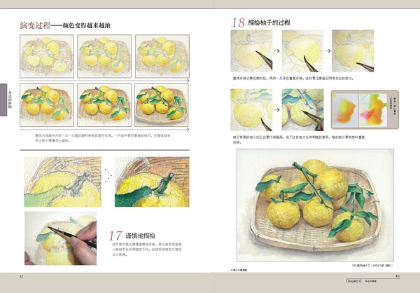 描绘柚子的过程1