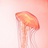 jellyfishjiang
